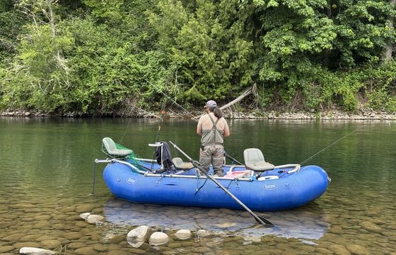 Guided Salmon/Steelhead Fishing Trips
