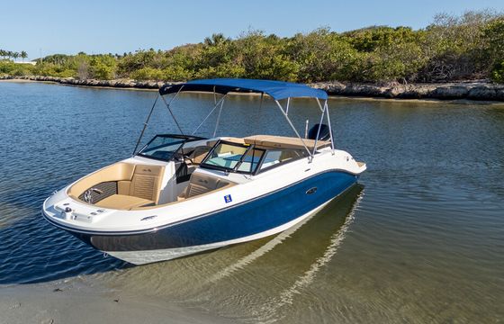 Sleek &amp; Stylish 23ft SeaRay: Your Dream Cruiser Awaits!