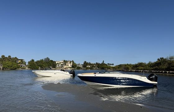 Sleek &amp; Stylish 23ft SeaRay: Your Dream Cruiser Awaits!