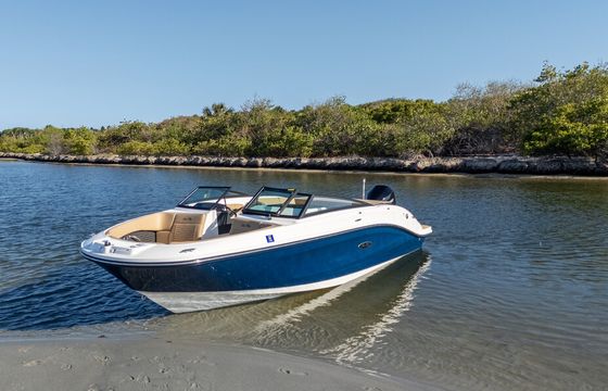 Sleek &amp; Stylish 23ft SeaRay: Your Dream Cruiser Awaits!