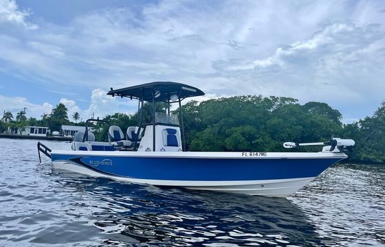 24ft Beautiful Cruising and Fishing Bay Boat