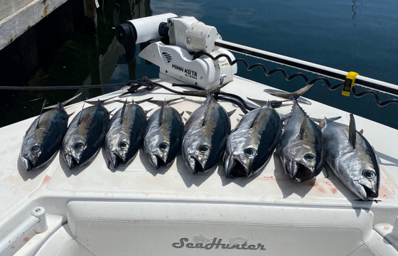 Key West Fishing Charter...like no other!