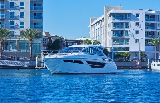The Magic Hour - 2021 50 Cantius