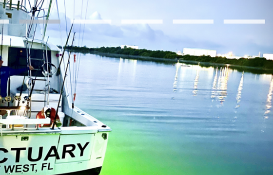 The best offshore fishing charter in Key West on 47' Hatteras!