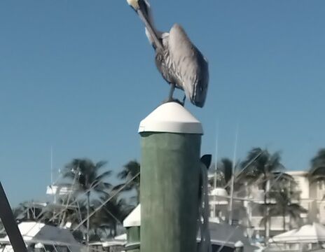 Thirsty Lady.  All Included! Daily Sails &amp; Lodging! 3bd/3bth