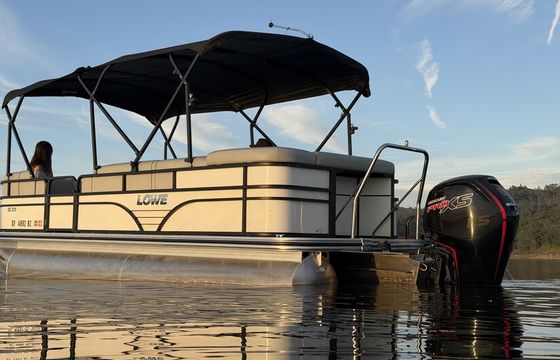 Lowe SS210 Pontoon 115hp Mercury Pro XS