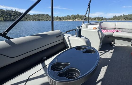 Lowe SS210 Pontoon 115hp Mercury Pro XS