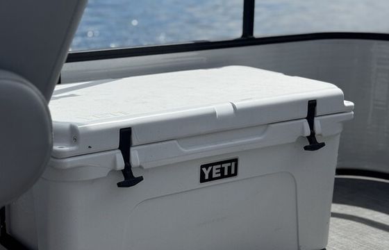 Lowe SS210 Pontoon 115hp Mercury Pro XS