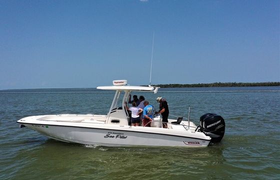 Boston Whaler 270 Dauntless — Sea Pilot Twin Verado