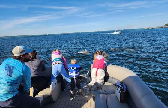 Crab Island and Dolphin tours