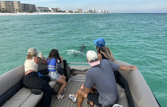 Crab Island and Dolphin tours