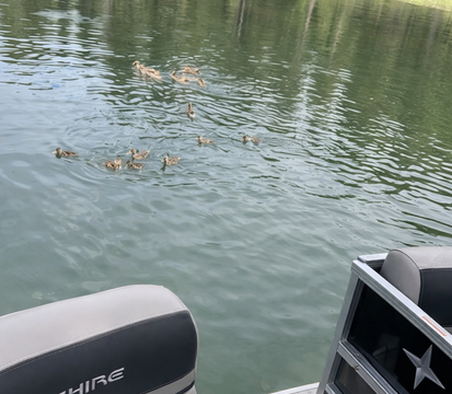 2023 Berkshire 22’ Luxury Pontoon Boat Rental