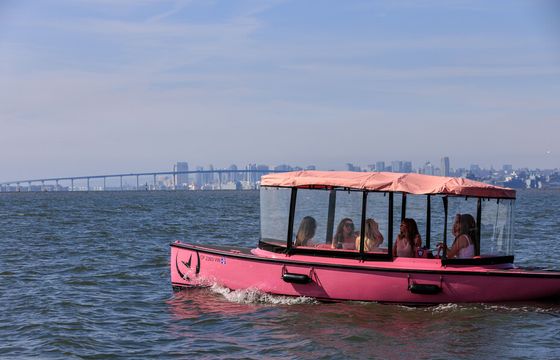 Pink Electric Boat Rental in San Diego (Drive It Yourself • Seats 10)