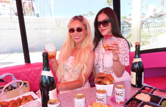 Pink Electric Boat Rental in San Diego (Drive It Yourself • Seats 10)