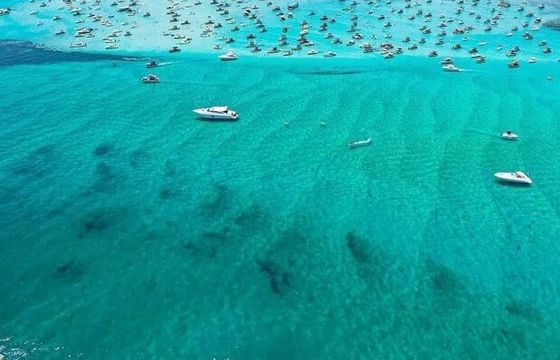 35 Foot Sightseer Dolphin, Sunset, Crab Island Tour Boat