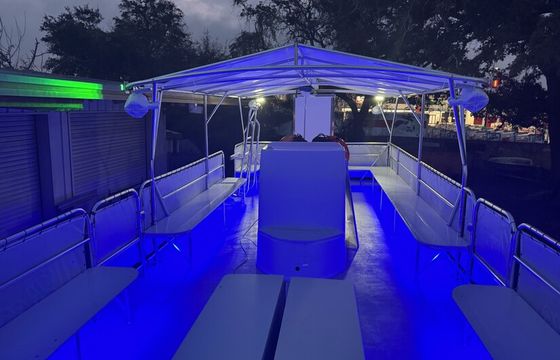 35 Foot Sightseer Dolphin, Sunset, Crab Island Tour Boat