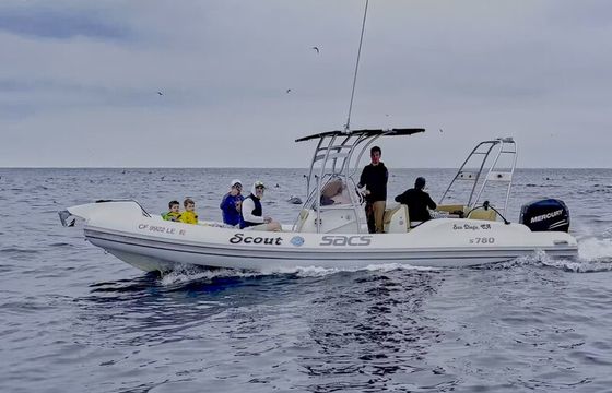 26' SACS 300 HP Power Boat Scout, BYOB, and Licensed Captain