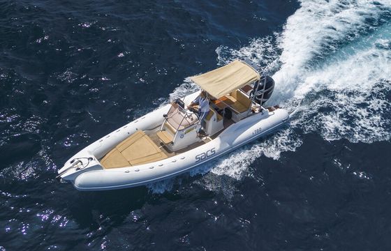 26' SACS 300 HP Power Boat Scout, BYOB, and Licensed Captain