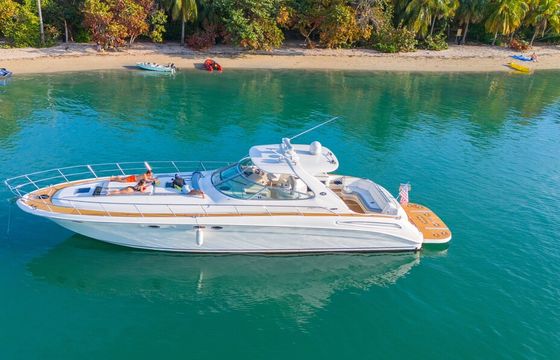 Luxury 55’ Sea Ray Yacht – Perfect Parties, Sandbars &amp; Sunset Cruises