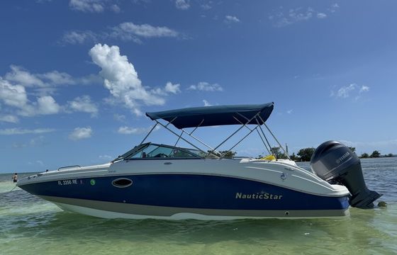 Living Like Larry Charters,  sandbar and snorkel adventures