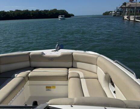 Living Like Larry Charters,  sandbar and snorkel adventures