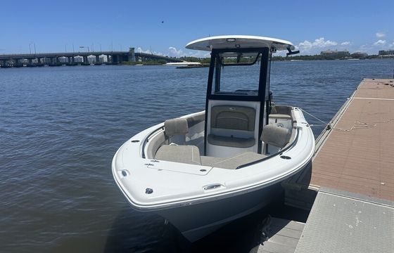 24ft seahunt ultra