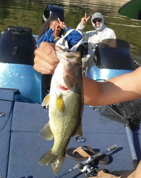 21' Bass Boat for rent