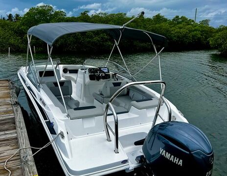 Premium Deckboat with Seat and Sound Upgrades - Perfect Sandbar Boat