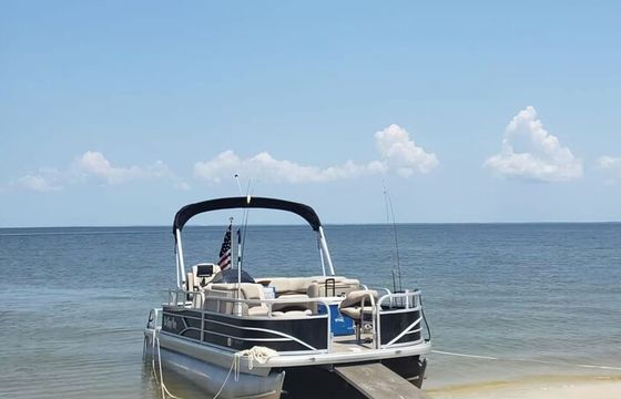 20' Pontoon "Our Happy Place" Mobile and Dauphin Island