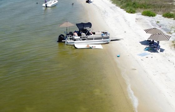 20' Pontoon "Our Happy Place" Mobile and Dauphin Island