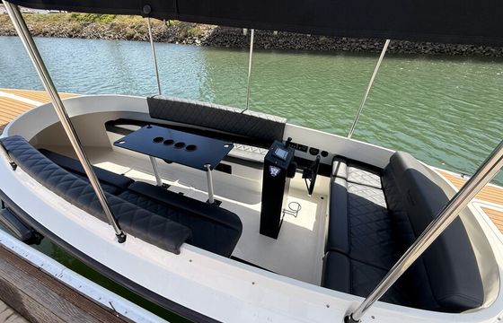 Cloud Nine: Luxury Electric Boat for 10 • Easy Self-Drive • San Diego