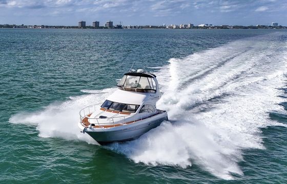 LUXURY SEA RAY SEDAN BRIDGE 48 FT