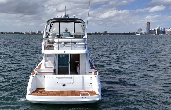 LUXURY SEA RAY SEDAN BRIDGE 48 FT