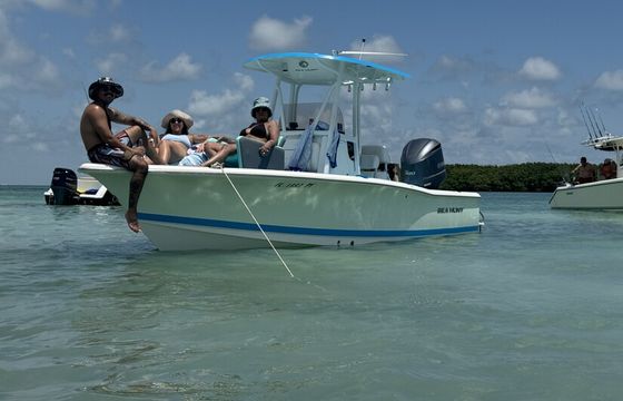 Bay and sandbar