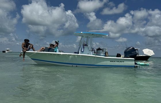 Bay and sandbar