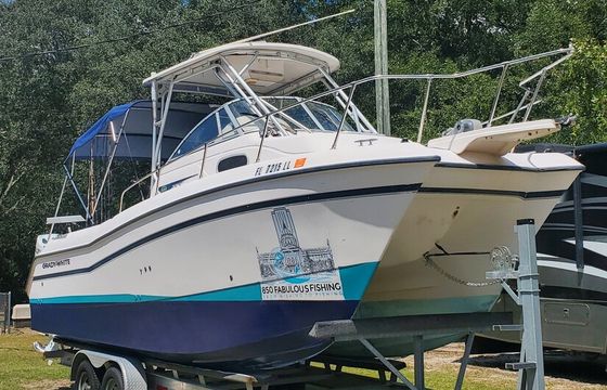 850 Fabolous Fishing Boat Experience