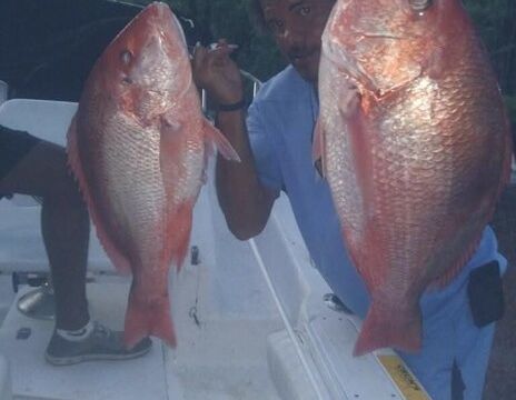 850 Fabolous Fishing Boat Experience