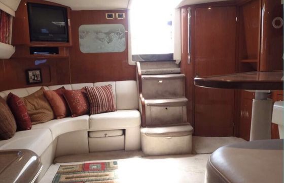 Paint, party and yacht with us! Climb aboard the 45ft Sea Ray
