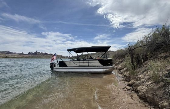 2023 Beautiful Veranda Luxury Tritoon 200 HP