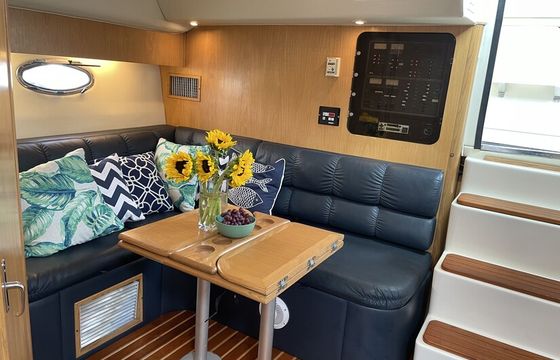 38' Tiara Cruising Yacht for Small Group Harbor Cruises in South Bay