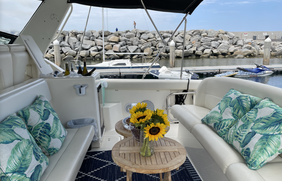 38' Tiara Cruising Yacht for Small Group Harbor Cruises in South Bay