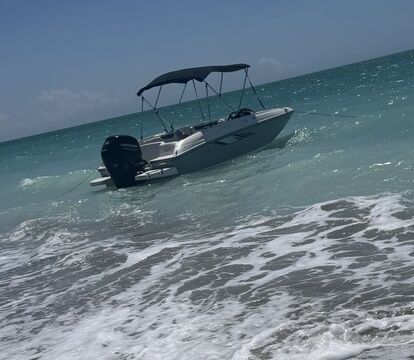 Sunny Escape — 18ft Bayliner Element