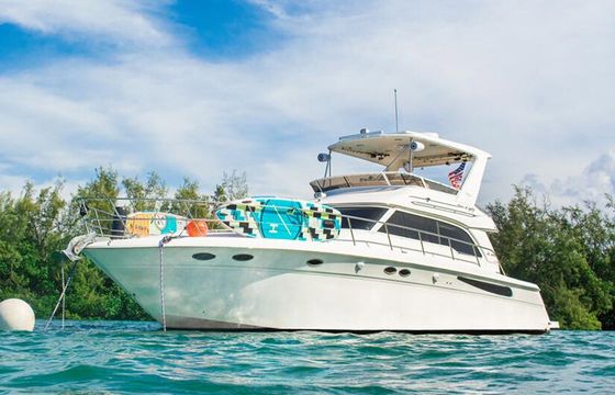 Sea Ray Sedan 50ft – Private Miami Yacht w/ Island Stop