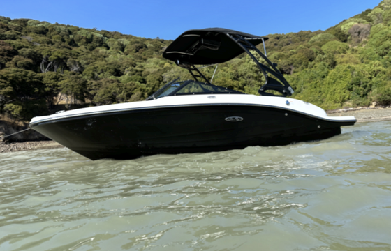 Sporty &amp; Spacious! Sea Ray SPX190 - Lake Lanier Delivery Available!