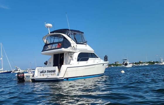 Sedan  Bridge cruiser