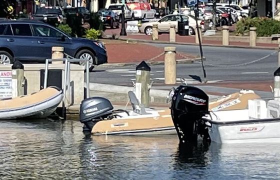 Annapolis Harbor Breeze — Private RIB Ride