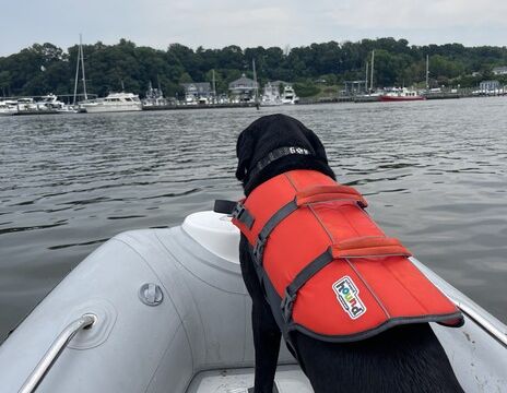 Annapolis Harbor Breeze — Private RIB Ride