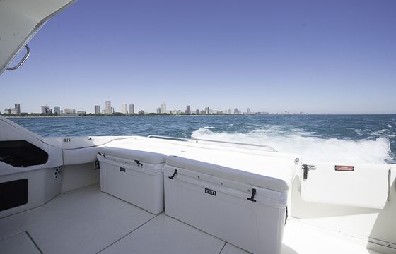 Diversey Harbor Gorgeous 46' Sea Ray Luxury Yacht