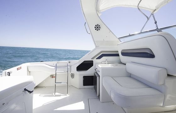 Diversey Harbor Gorgeous 46' Sea Ray Luxury Yacht