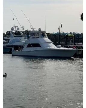 Experience Charleston in Style – 1998 Viking Sport Fish